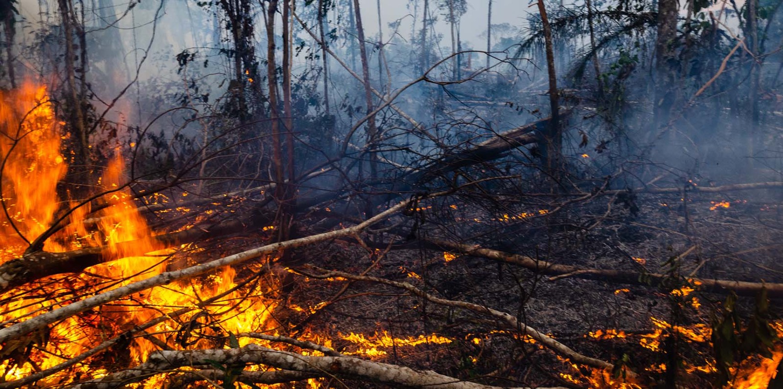 Imagem da notícia: Prefeitura de Vargem Alta alerta sobre o risco das queimadas